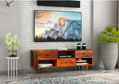 Johnson TV unit 