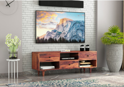 Johnson TV unit 